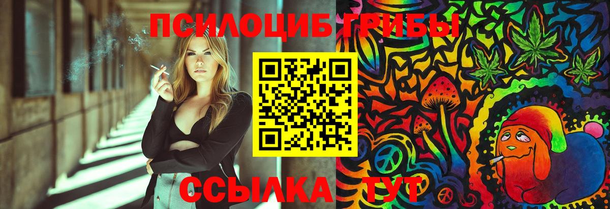 Соль-Илецк  Галлюциногенные грибы MAGIC MUSHROOMS  Вход с VPN 